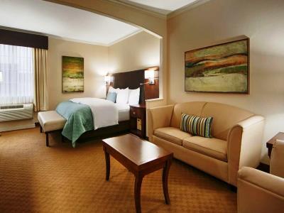Western Downtown Inn&suites 3* Houston